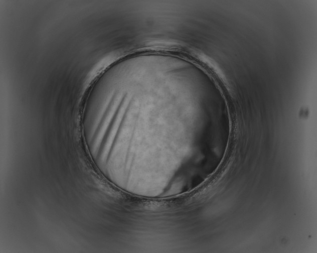 X0000090971362200708241306