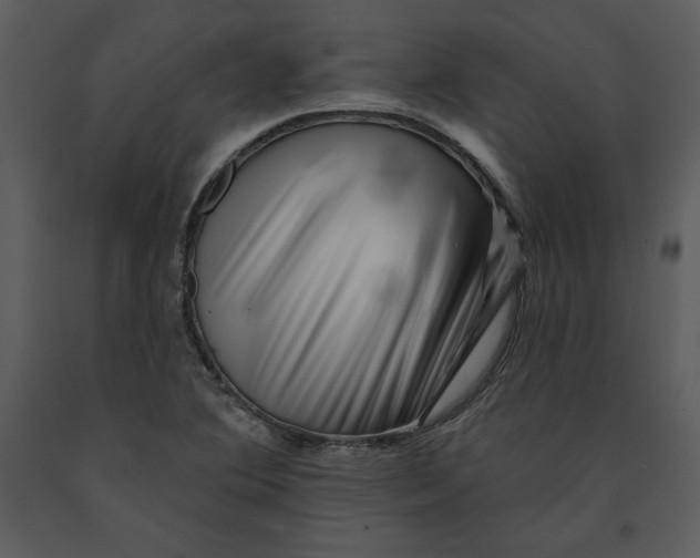 X0000090971364200708241306