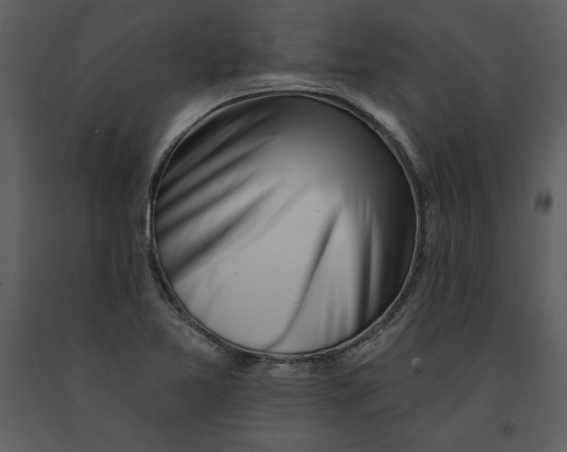 X0000090971365200708241306