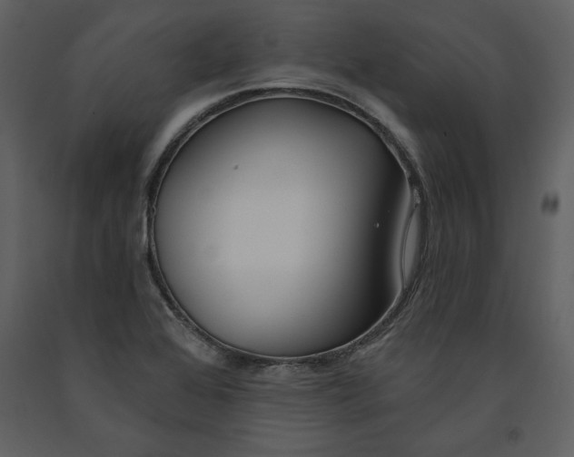 X0000090971368200708241305