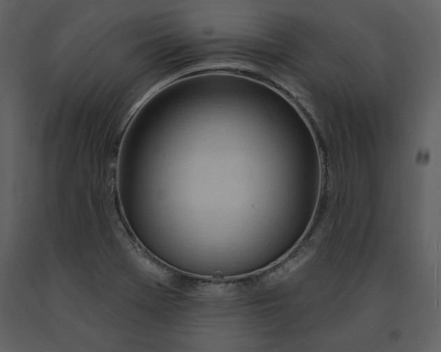 X0000090971369200708241305