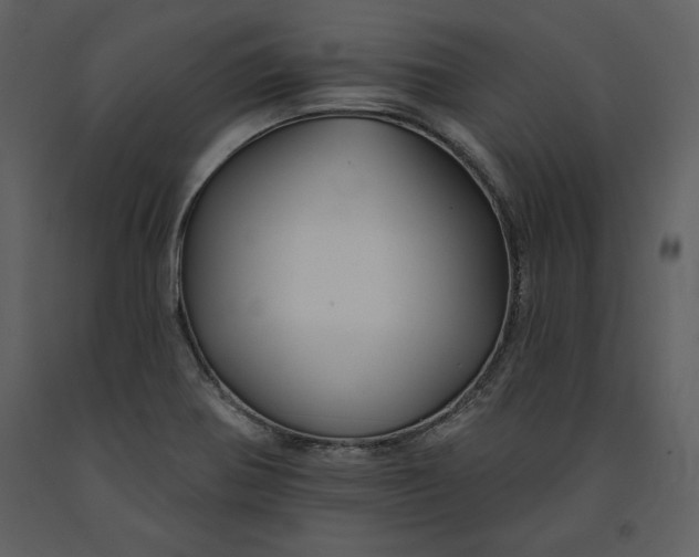 X0000090971370200708241305