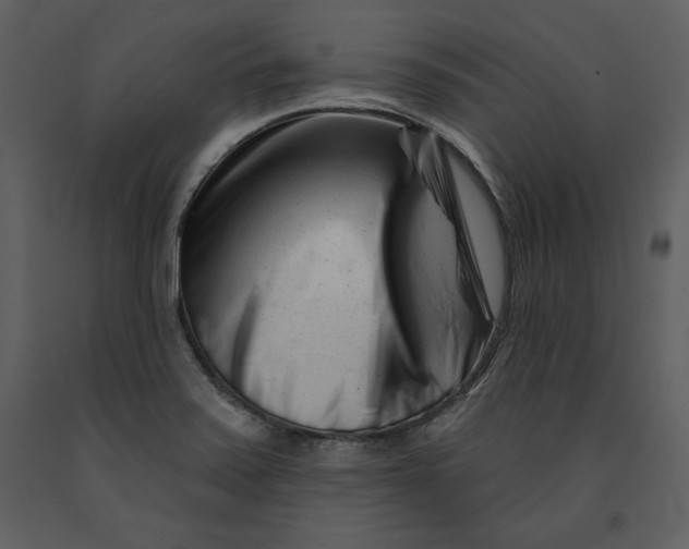 X0000090971371200708241305