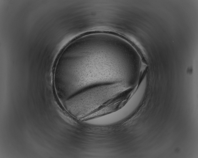 X0000090971372200708241305