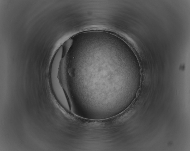 X0000090971373200708241305