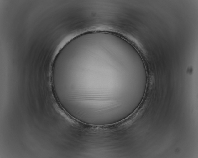 X0000090971374200708241305