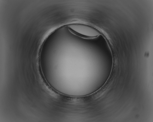 X0000090971375200708241305