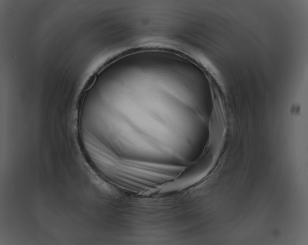 X0000090971376200708241305