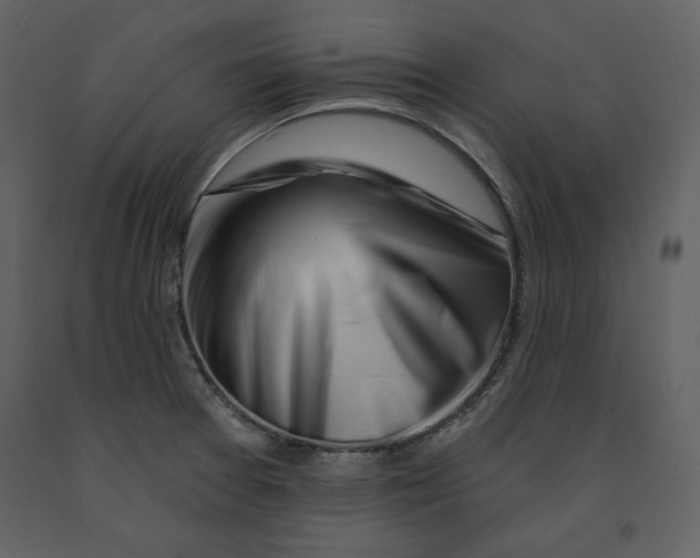 X0000090971377200708241305