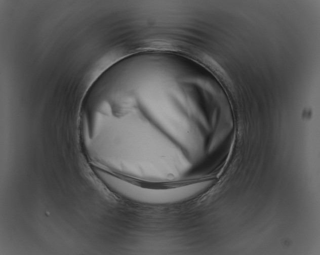 X0000090971378200708241305