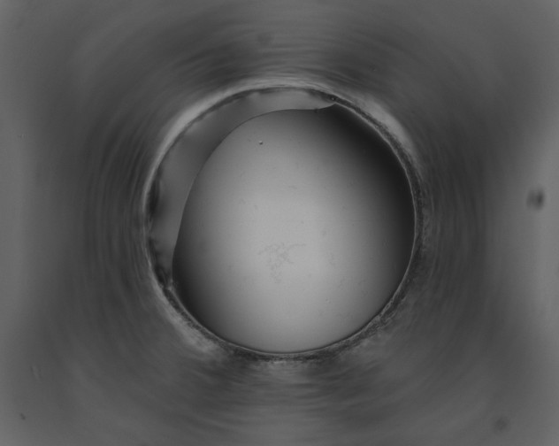 X0000090971380200708241305