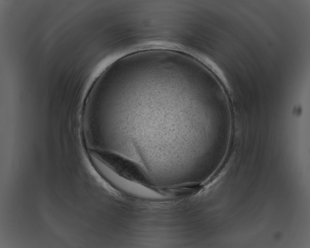 X0000090971381200708241305