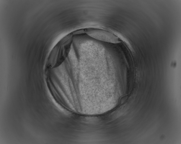 X0000090971383200708241305