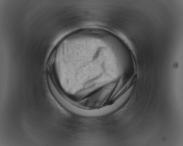 X0000090971384200708241305