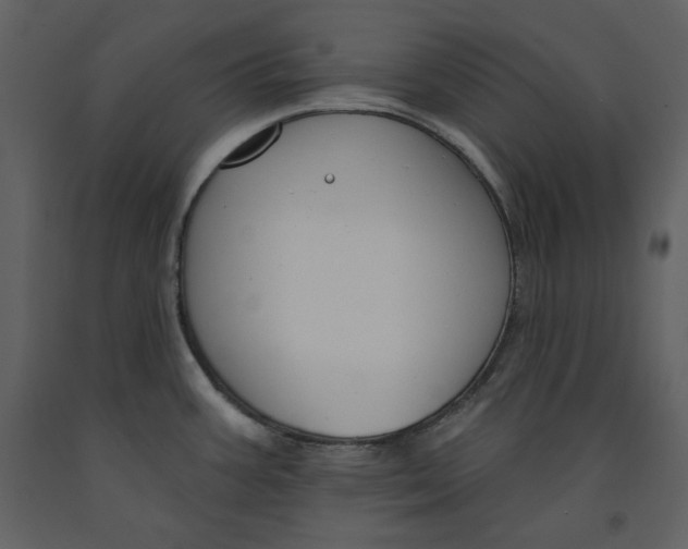 X0000090971387200708241305