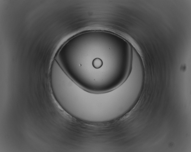 X0000090971388200708241305