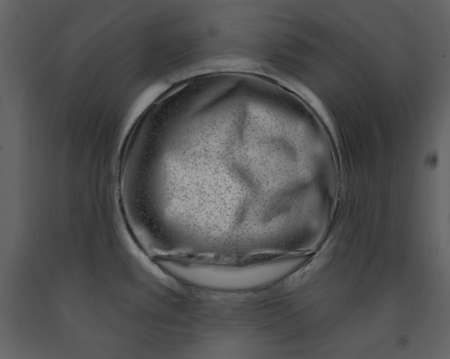 X0000090971389200708241305