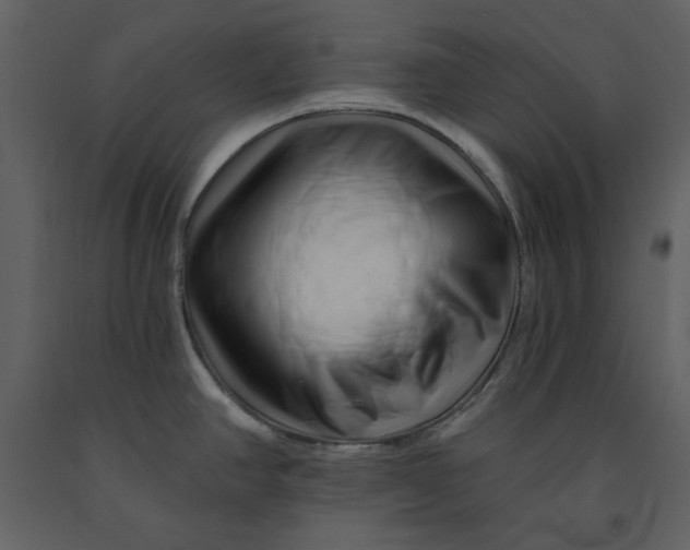 X0000090971390200708241305