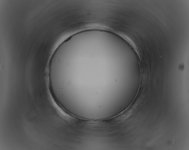 X0000090971391200708241305