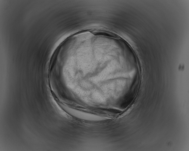 X0000090971392200708241305