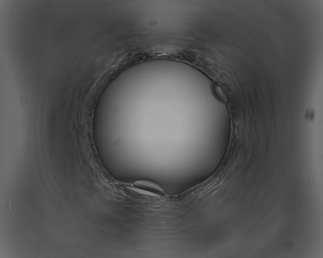 X0000090971393200708241304