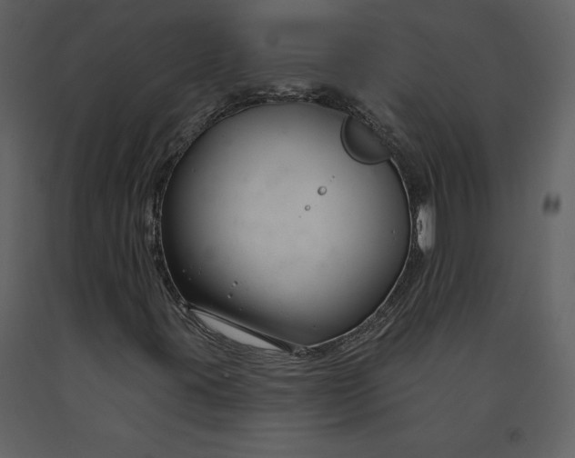 X0000090971395200708241304