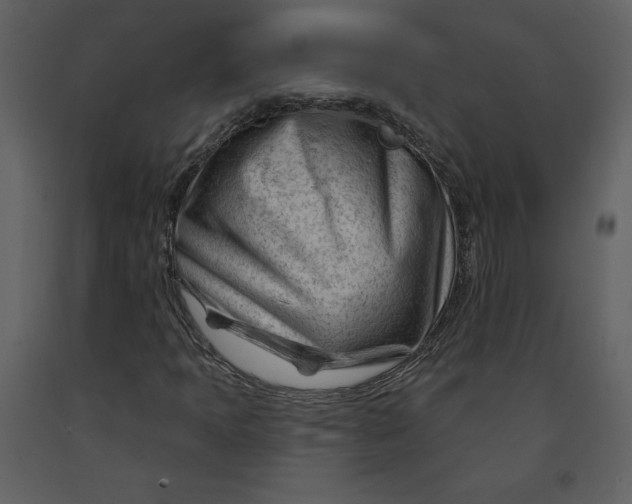 X0000090971397200708241304