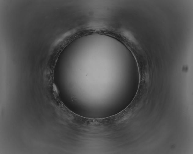 X0000090971398200708241304