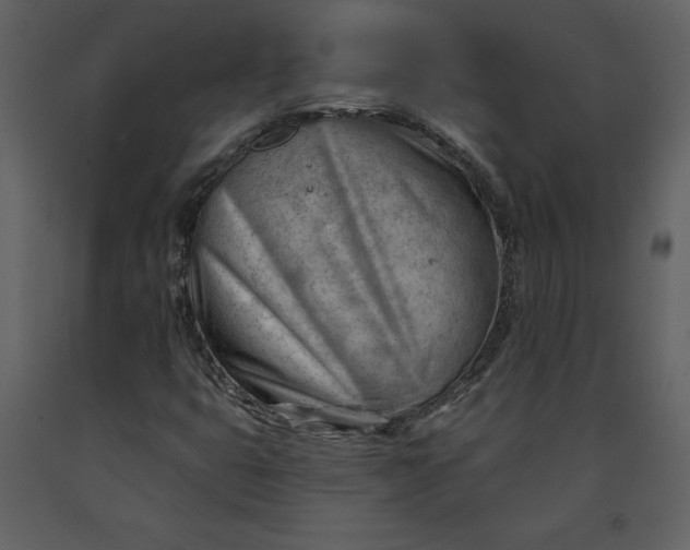 X0000090971399200708241304