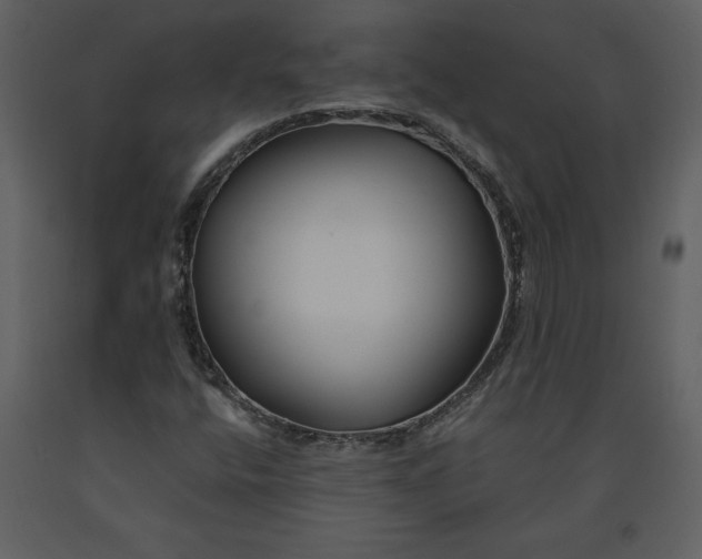 X0000090971400200708241304