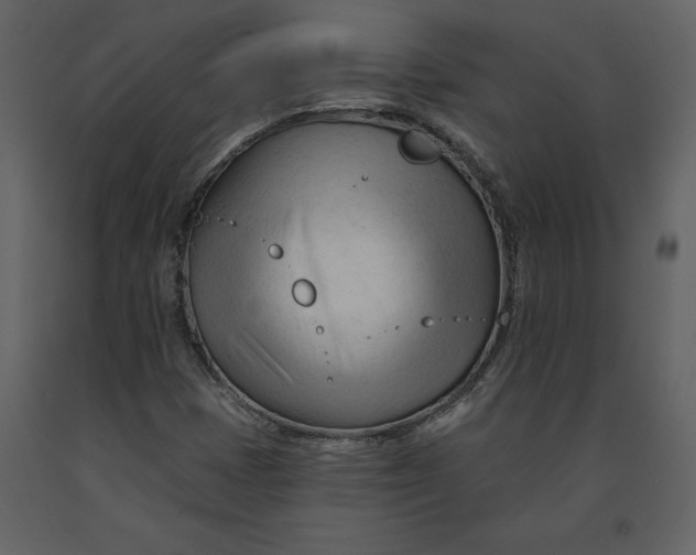 X0000090971401200708241304