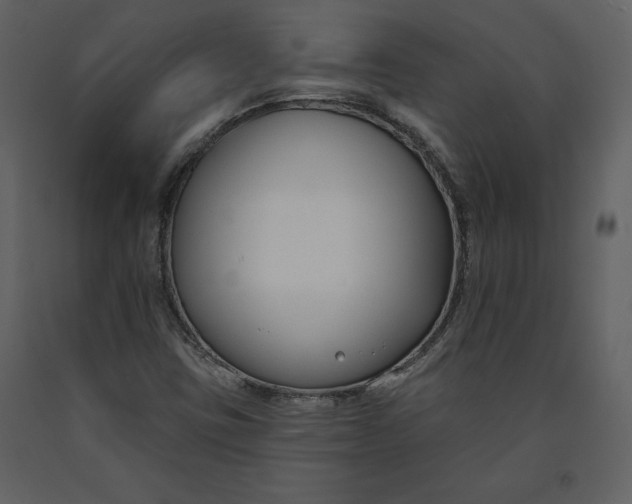 X0000090971403200708241304