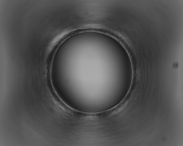 X0000090971406200708241305