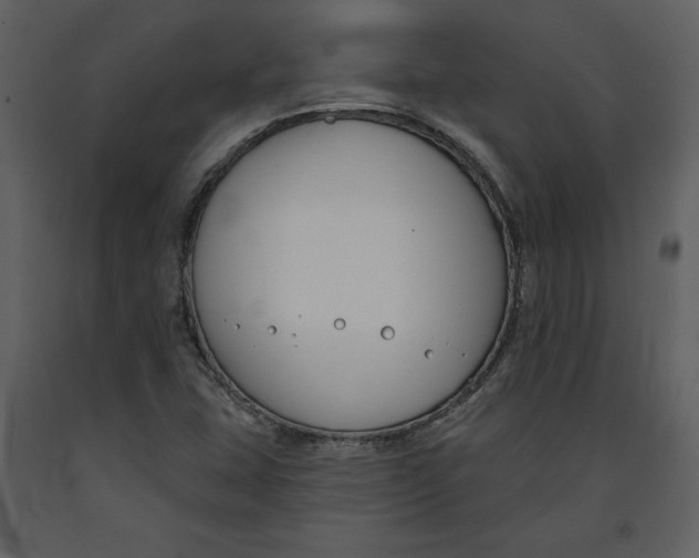 X0000090971407200708241305