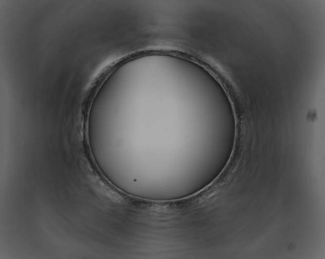 X0000090971408200708241305