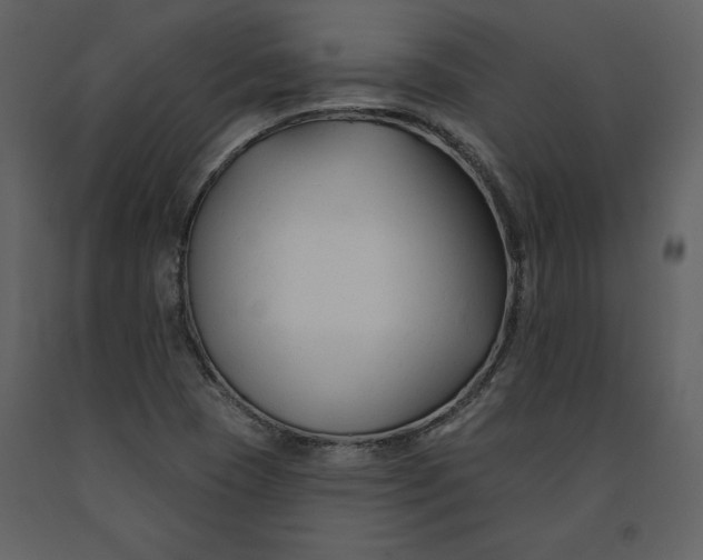 X0000090971409200708241305