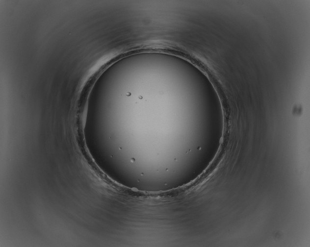 X0000090971410200708241305