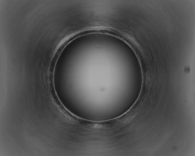 X0000090971412200708241305