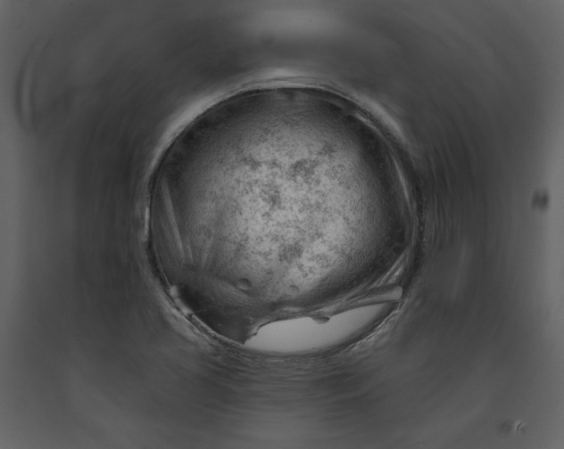 X0000090971413200708241305