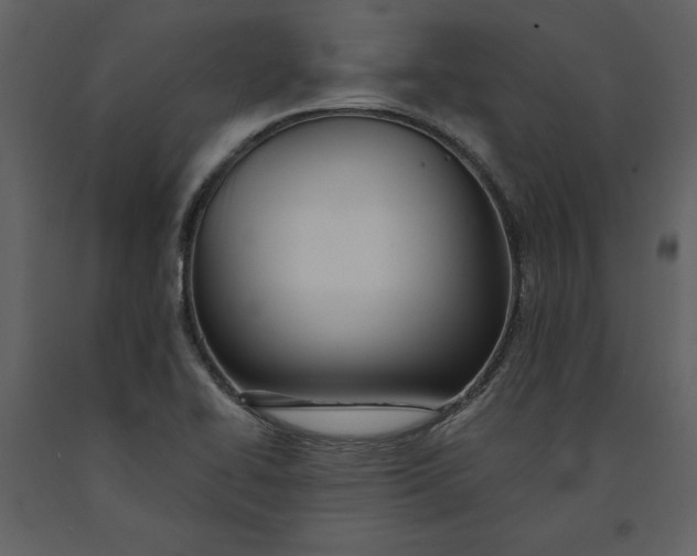 X0000090971414200708241305