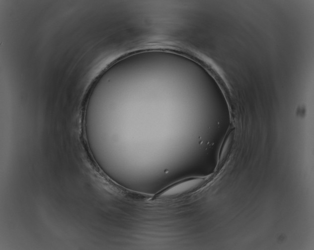 X0000090971415200708241305