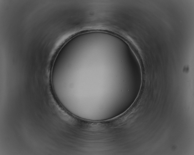 X0000090971416200708241305