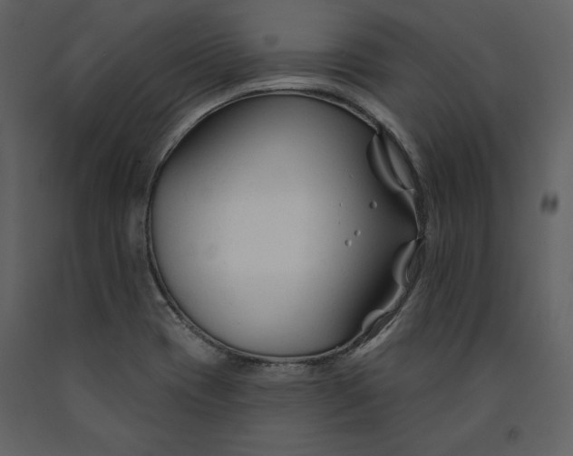 X0000090971417200708241305