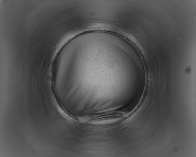 X0000090971421200708241305