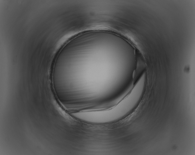 X0000090971422200708241305