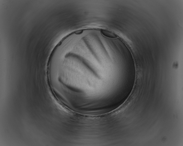 X0000090971423200708241305