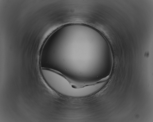 X0000090971424200708241305