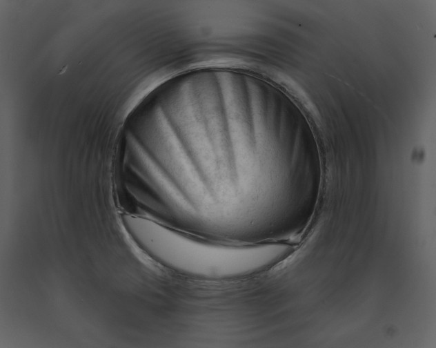 X0000090971425200708241305