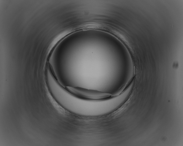 X0000090971426200708241305