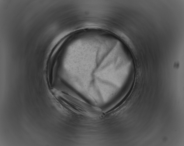 X0000090971427200708241305